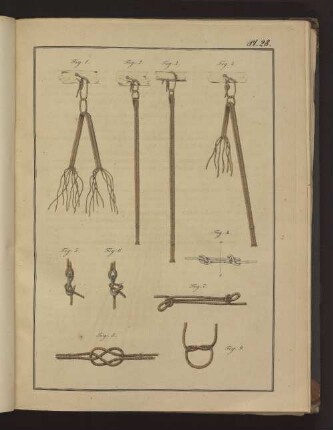 Pl. 28. Fig. 1. bis Fig. 9., Fig. A.