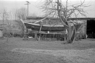 Aufgebocktes Boot "Jessica": davor Baum: im Hintergrund Schuppen, Hecken, Zaun, Strommast, Wohnhäuser