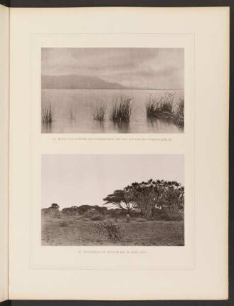 27. Blick vom Ostufer des Dschibe-Sees auf den See und das Uguenogebirge 28. Vegetation am Ostufer des Dschibe-Sees
