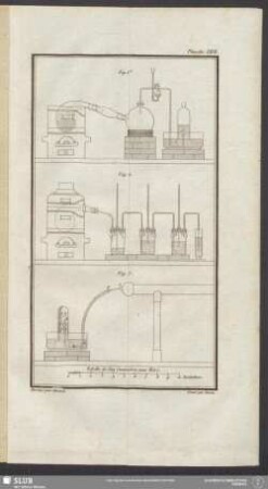 Planche XXVII