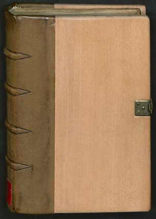 Auberi le Bourguignon - Raoul de Houdenc - Aspremont : Ms. gall. qu. 48