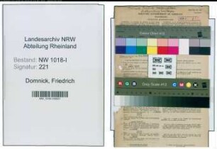 Entnazifizierung Friedrich Domnick , geb. 05.05.1901 (Stadtinspektor)