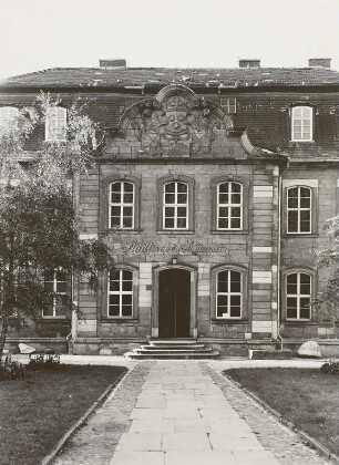 Spiegelsche Kurie