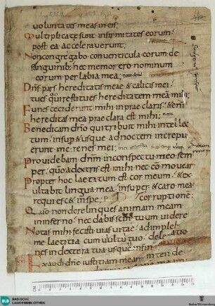 Psalterium, Fragment - Cod. Aug. Fr. 8