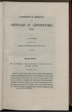 Iconographie Et Description De Chenniles Lepidoteres