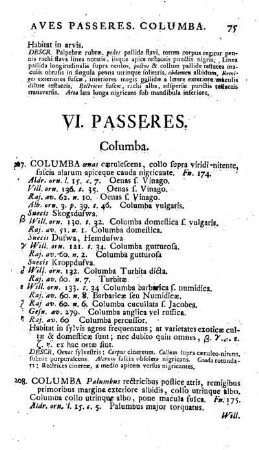 VI. Passeres