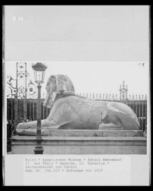 Sphinx Amenemhet' II. aus Tanis