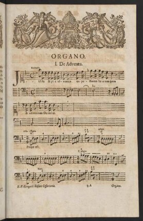 Organo