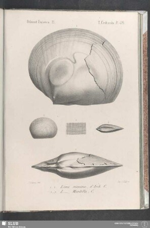 Pl. 426