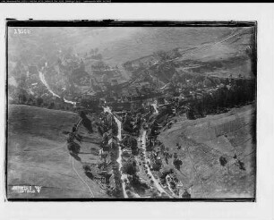 Wildemann (Harz)