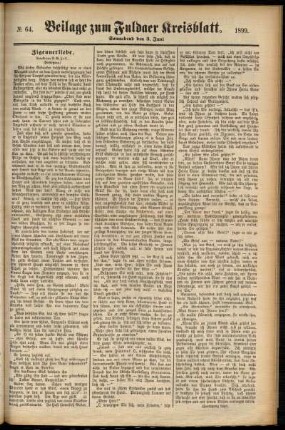 Zweite Ausgabe vom Samstag, den 03. Juni 1899.