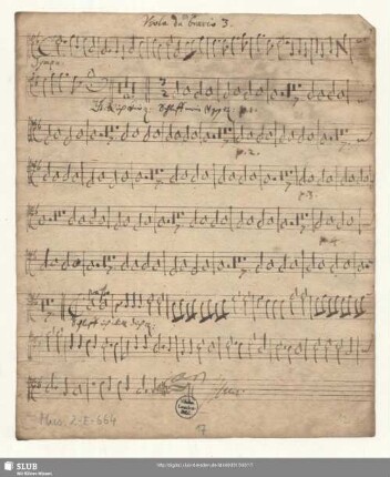 Viola da braccio 3.