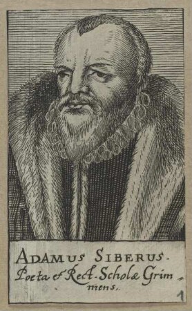 Bildnis des Adamus Siberus