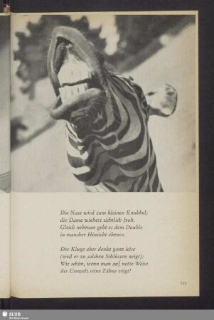 Zum Lachen