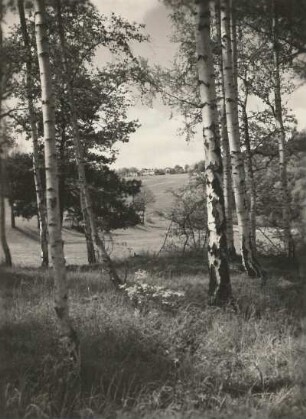 Vogtland nahe Jocketa, nördlich von Plauen. Blick aus dem Tal der Weißen Elster zum Pfaffengut