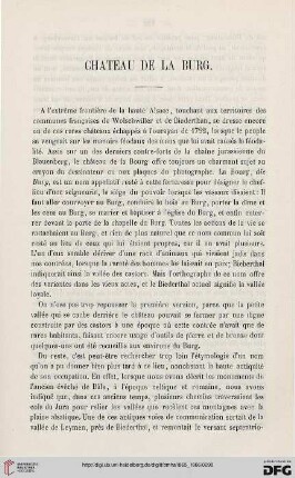 2.Ser. 4.1865/66: Chateau de la Burg