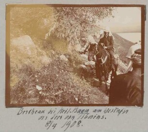 Bertheau bei heil. Baum am Westufer des Sees von Tiberias [Genezareth (See)]. 8/4 1908.