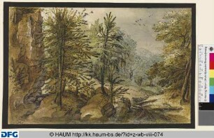 Waldlandschaft