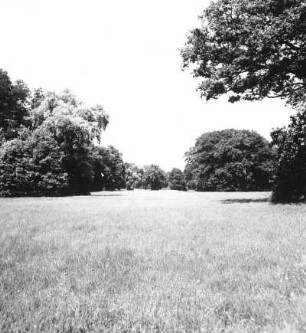 Cottbus. Branitzer Park (1846-1871; H. v. Pückler-Muskau). Wiesenfläche und Baumgruppe vom Pleasure-Grundweg nach Westen