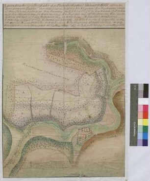 Geometrischer Grundriss über den bronnbachischen Schönertswald und von den daran grenzenden Gegenden