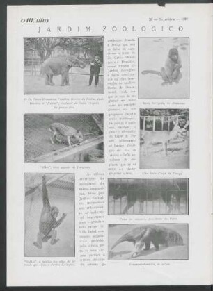 Jardim zoológico do Rio de Janeiro
