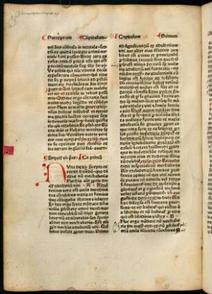 193v-199r, Capitulum Primum - Capitulum Secundum