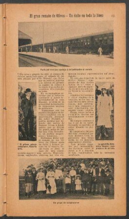 El gran remate de olivos - un éxito en toda la linea