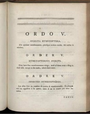 ORDO V. Insecta Hymenoptera.