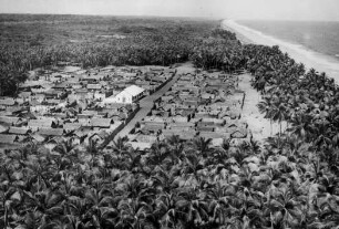 Cocoteraie du Littoral alladien