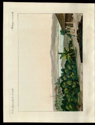 Pulo Penang.