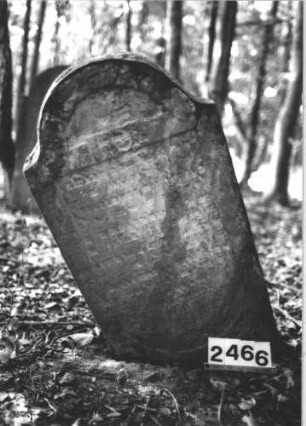 Grabstein 2466