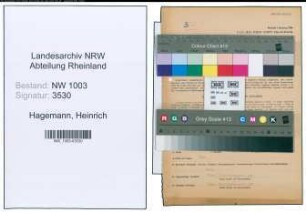 Entnazifizierung Heinrich Hagemann , geb. 02.09.1899 (Spediteur)
