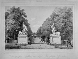 "Die große Allee im Kgl. großen Garten"