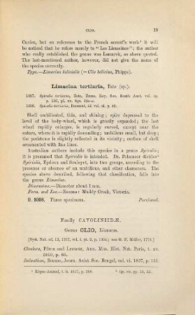 Catalogue of Tertiary Mollusca in the Department of Geology, British Museum, (Natural History), 1