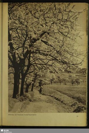 Blütenweg zum Poisental (Freital-Niederhäslich)