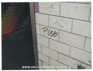 PINO