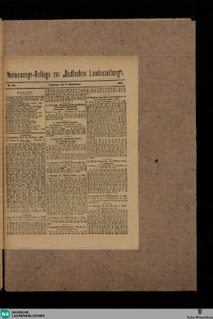Badische Landes-Zeitung, Verloosungs-Beilage, No. 36