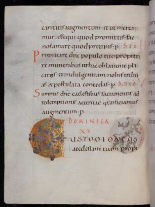 Zierinitiale / Randleisteninitiale mit Rankenbesatz: C(ustodi domine)