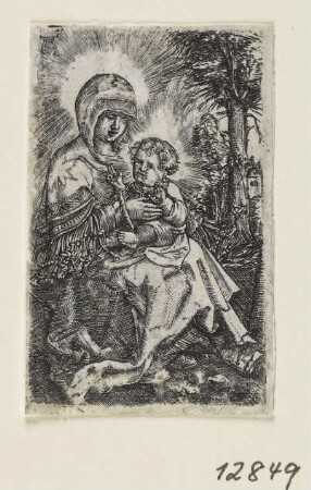 Schöne Maria in der Landschaft