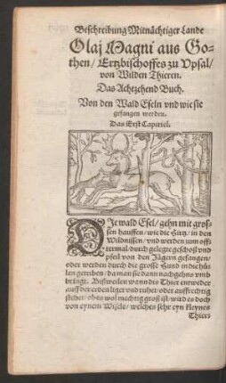 Olai Magni ... von Wilden Thieren. Das Achtzehend Buch.