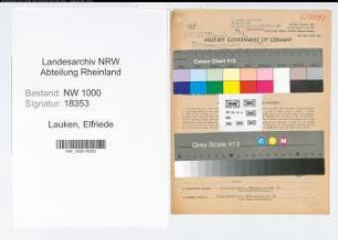 Entnazifizierung Elfriede Lauken, geb. 29.03.1906 ()