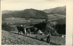 Pflügen mit Pferdegespann