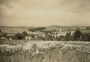 Pfaffroda, Ortsansicht : Schloß und Kirche von Westen