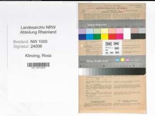 Entnazifizierung Rosa Klinzing, geb. 18.03.1907 (Bueroangest.)