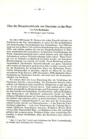 Über die Riesenhirschfunde von Steinheim an der Murr