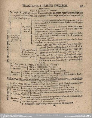 TRACTATUS VI. PARTIS SPECIALIS. De Anima.