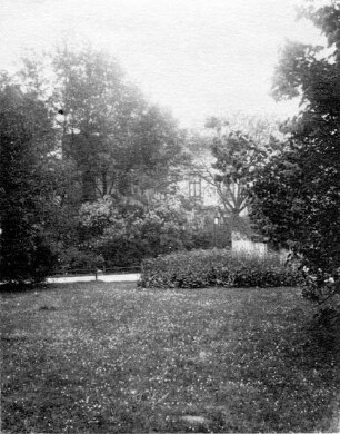 Leipzig: Blüte im Johanna-Park