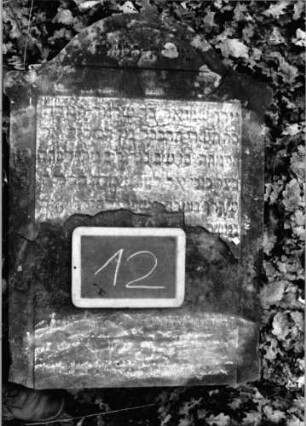 Grabstein 12 (Index: 100090603) Material: Sandstein Zustand: Schriftfeld zur Hälfte weggebrochen Maße HxBxT: 85x58x8 cm Beschreibung: Stele, eingezogener Segmentbogenabschluß: Grabstein 12
