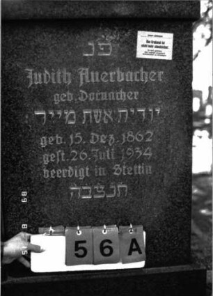 Grabstein 56 (Index: 100105511) Material: Granit Zustand: gut Maße HxBxT: 125x139x16 cm Beschreibung: Stele, breit, in der Mitte durch erhabene Pfeiler getrennt, getreppter Sockel, Abdeckplatte Besonderheit: Doppelgrab für Eheleute; - Gedenkinschrift: Judith Auerbacher wurde in Stettin beerdigt: Grabstein 56A