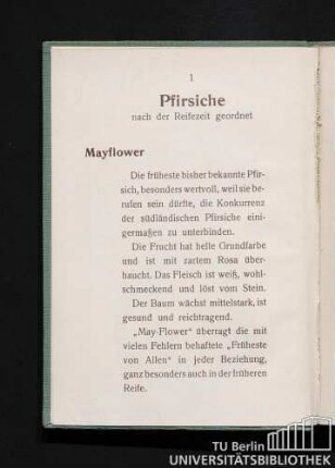 Pfirsiche nach der Reifezeit geordnet. Mayflower.